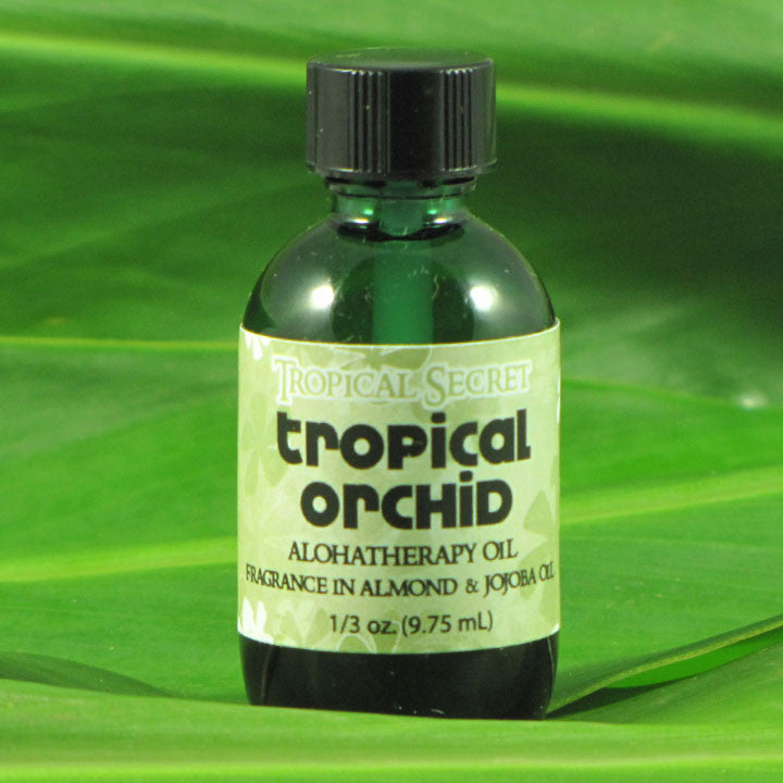 Tropical Orchid