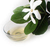 Monoi Coconut Oil