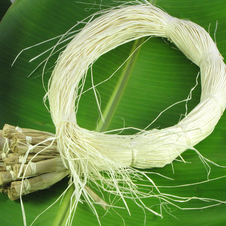 Coconut Shell Bra - Titi Coco